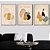 Conjunto com 3 quadros decorativos Frutas Abstratas. - Imagem 1