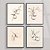 Conjunto de 4 quadros decorativos Frutas Abstratas. - Imagem 1