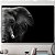 Quadro Decorativo Elefante. - Imagem 1