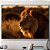 Quadro Decorativo Leão ensolarado. - Imagem 1