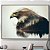 Quadro Decorativo Aguia e natureza. - Imagem 1