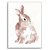 Quadro Decorativo Coelho Pink. - Imagem 1