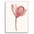Quadro Decorativo Flor Pink. - Imagem 1