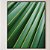 Quadro Decorativo Folha verde. Coleção: Juliana Bambini - Imagem 1