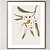 Quadro Decorativo Flor delicada. Coleção: Juliana Bambini - Imagem 1