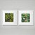Amazônia - Conjunto 2 Quadros Decorativo Natureza. Coleção Assinada: Giovanna Gogosz - Imagem 1