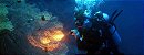 Lanterna de mergulho Fenix SD10 - 930 Lumens - Imagem 19