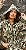 Jaqueta Camuflada Lily belle - Imagem 1