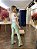 Calça Power Skinny Range Morina - Imagem 3