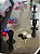 Arcade Fliperama Multijogos 32 polegadas - 4 players - Tema Diversos - Imagem 5