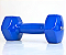 Halter Vinil Liso 5 KG - Imagem 2