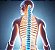 Curso EAD Reprogramação Espiritual - Celular e Ativação do DNA Não Codificado - Imagem 1