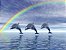 Curso EAD Reiki dos Golfinhos ou Dolphin Reiki - Imagem 1