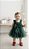 Vestido Verde com Laço em cetim e Tule - Imagem 3