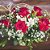 Cestinha com 6 rosas colombianas - Imagem 1