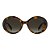 Óculos de Sol Tommy Hilfiger 2403S Havana Feminino - Imagem 2
