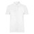 Camisa Polo Foxton Piquet Basica Rio Masculino Branco - Imagem 1