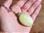 CHAVEIRO JASPE VERDE - Imagem 4