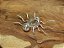 BROCHE ARANHA QUARTZO RUTILADO - Imagem 2