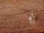 EAR CUFF PERIDOTO - Imagem 9