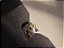 EAR CUFF PERIDOTO - Imagem 7