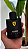 Perfume Ferrari Black - Imagem 2