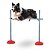 KIT AGILITY ESPECIAL COM TÚNEL DE 70CM X 3M - IDEAL PARA PET PLACE - Imagem 7