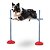 SALTO DE 1M PARA AGILITY - ADESTRAMENTO E RECREAÇÃO DE CACHORRO - Imagem 4