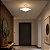 Pendente Acrílico Quadrado com Hastes 40x40 Home Usina Design E-27 252/4e Salas e Hall - Imagem 1