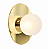 (Latão - Especiais) Arandela Punto Golden Art P2010LT Disco 20 cm com Soquete G9 - Imagem 1