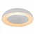 Plafon Plutão Ø400x90mm com 2 Soquetes E27 G45 – Iluminação Moderna e Versátil 4203-40 - Imagem 1