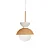 Pendente Bibelô Globo Ø140 com Anel Branco Ø190x200mm para Lâmpada E27 G45 16707-19B - Imagem 1