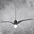 Pendente Metal Domado Pass Plane G 6270G 58cm Alumínio e Acrílico E27 - Imagem 1