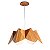 Pendente Accord Physalis A-1299 35x15cm Design Orgânico para 1 Lâmpada - Imagem 1