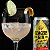 Seagers Gin Tonic - Spicy Eldeflower - 269ml Kit c/ 6 latas - Imagem 3