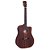 Violão Elétrico Aço Rozini RX315 FP2F CTLP Fishman - Imagem 1