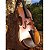Violino 4/4 Vivace Strauss ST44S Tampo Sólido Fosco - Imagem 2