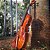 Violino 4/4 Eagle VE441 - Imagem 2