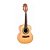 Cavaco Elétrico Rozini RC19 ELFCD Zé Cavaquinho - Imagem 1