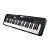 Teclado 61 Teclas Casio Casiotone CT-S300 5/8 - Imagem 2