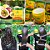 Máscara Maracujá 1 Kg - Natureza Cosméticos - Imagem 3