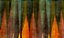 Impressão em tecido Canvas Abstrato Folhas Cores - Imagem 1