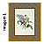 Florais Vintage - Imagem 3