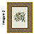 Florais Vintage - Imagem 4