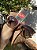 Óculos de Sol Ray-Ban Erika 4171 Tartaruga Onça Fosco Emborrachado Feminino – Proteção UV400 - Imagem 8