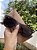 Óculos de Sol Ray-Ban Wayfarer Tartaruga Rb2140 Armação Fosco Onça Feminino/Masculino - Imagem 3