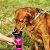 Bebedouro Portátil para Cães Acqua Dog - rosa - Imagem 1
