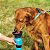 Bebedouro Portátil para Cães Acqua - azul - Imagem 1
