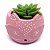 Vasinho Decorativo Raposinha planta suculenta artificial - rosa - Imagem 1