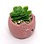 Vasinho Decorativo Gatinho planta suculenta artificial - rosa - Imagem 2